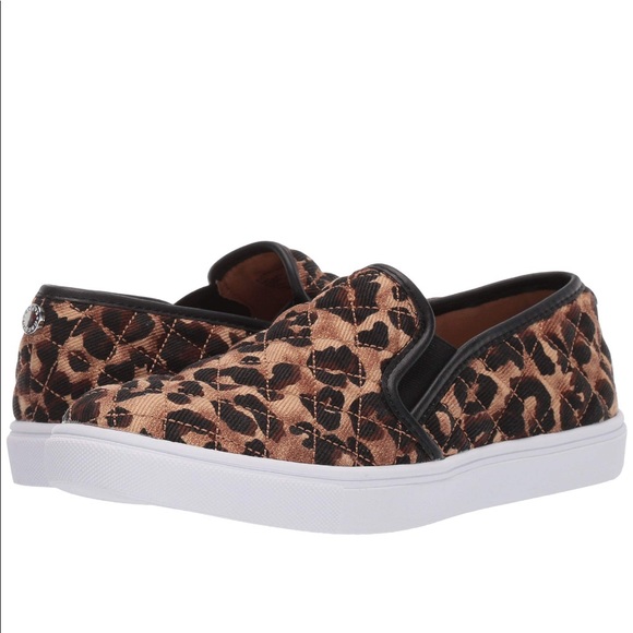steve madden ecentrcq leopard